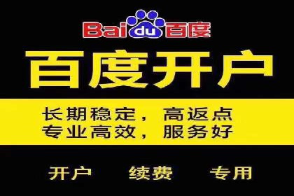 竞价广告的深度解析：以一知名品牌为例