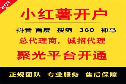 成功托管SEM竞价，实现品牌快速曝光